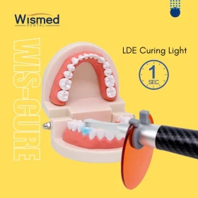 WisCure-1S