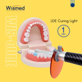 WisCure-1S