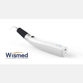 wismed endo ultra activator