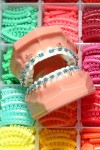 All Orthodontic Elastics