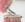 Orthodontic Appliances