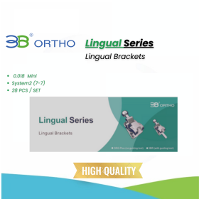 3b Ortho - Lingual Brackets