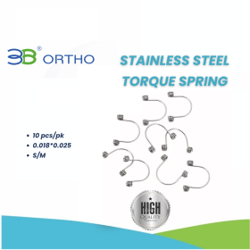 STAINLESS STEEL TORQUE SPRING