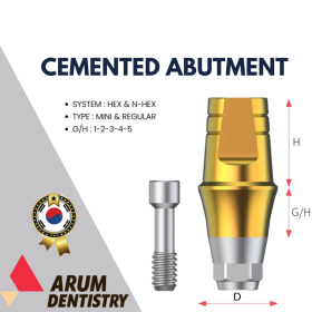 Cemented Abutment