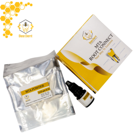 BeeDent MTA ROOT CONNECT