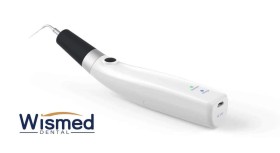 wismed endo ultra activator